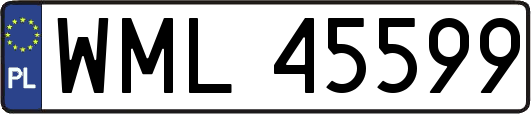 WML45599
