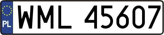 WML45607