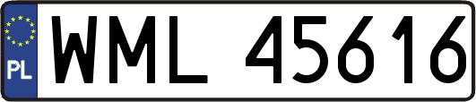 WML45616