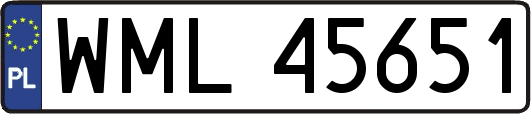 WML45651