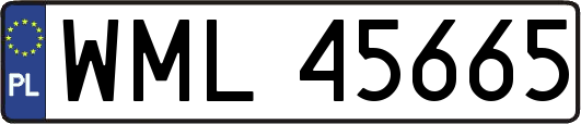 WML45665