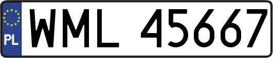 WML45667