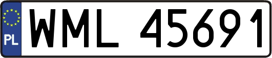 WML45691
