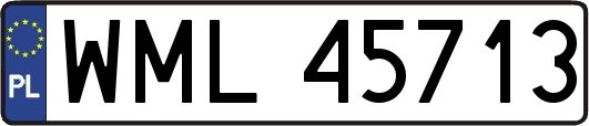 WML45713