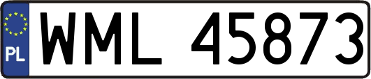 WML45873