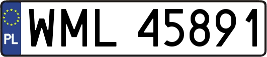 WML45891