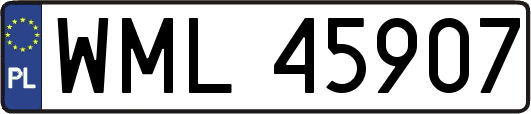 WML45907