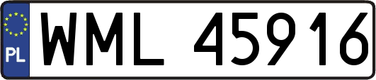 WML45916