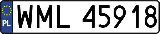 WML45918