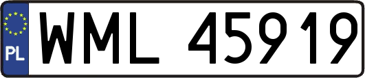 WML45919