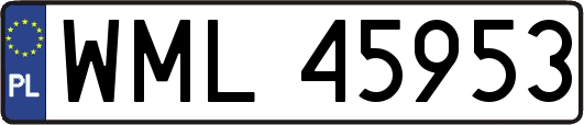 WML45953