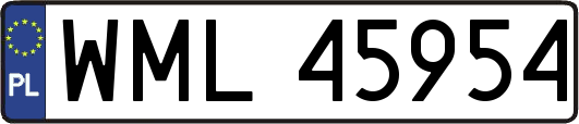 WML45954