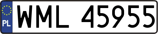 WML45955