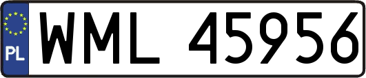 WML45956