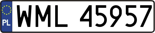 WML45957