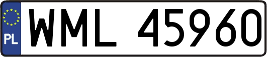 WML45960