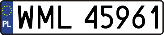 WML45961
