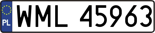 WML45963