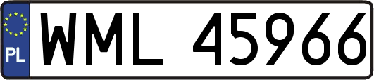 WML45966