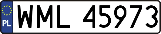 WML45973