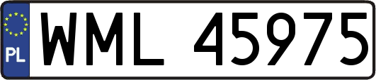 WML45975