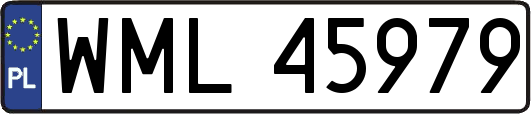 WML45979