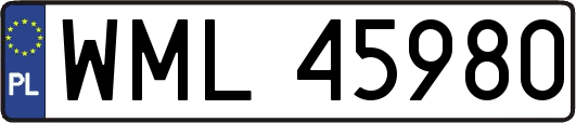 WML45980