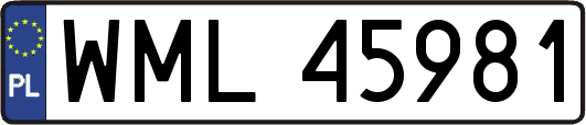 WML45981