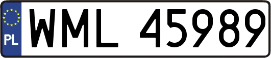 WML45989