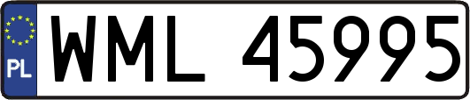 WML45995