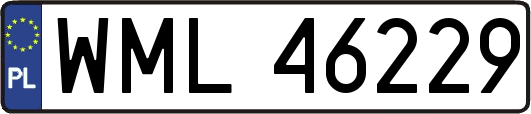 WML46229