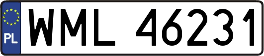 WML46231