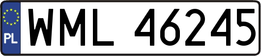 WML46245