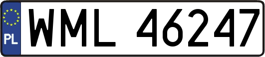 WML46247