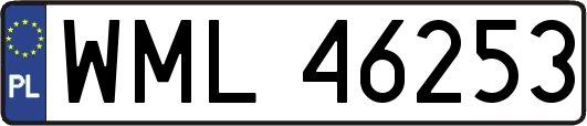 WML46253