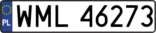 WML46273