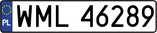 WML46289