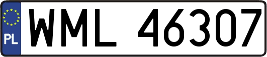 WML46307