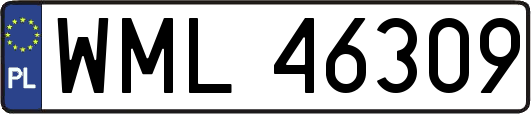 WML46309