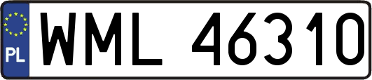 WML46310