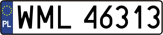 WML46313