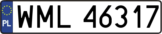 WML46317
