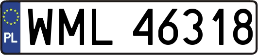 WML46318