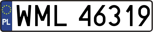 WML46319