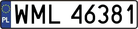 WML46381