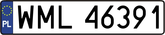 WML46391