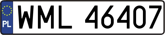 WML46407