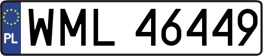 WML46449