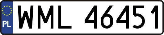 WML46451