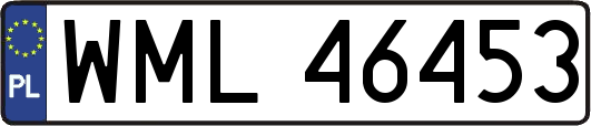 WML46453
